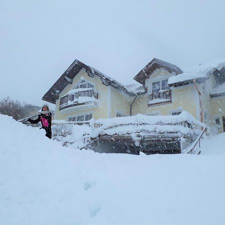 Ferienwohnung Nahe Fuschlsee, Hof Bei Salzburg Exteriör bild