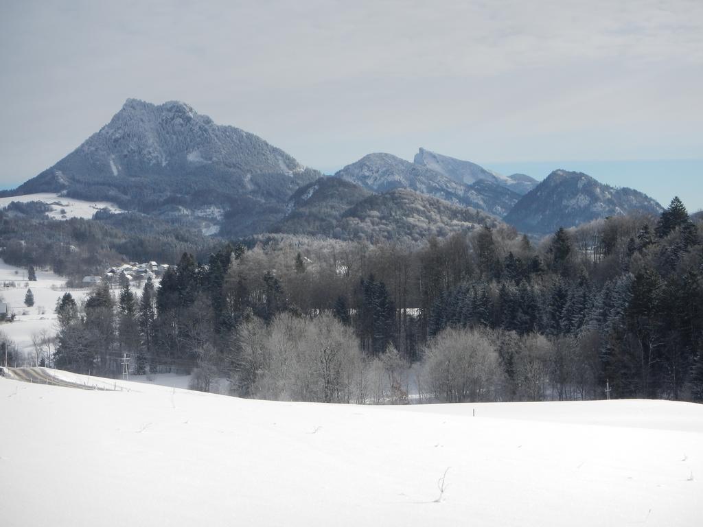 Ferienwohnung Nahe Fuschlsee, Hof Bei Salzburg Exteriör bild