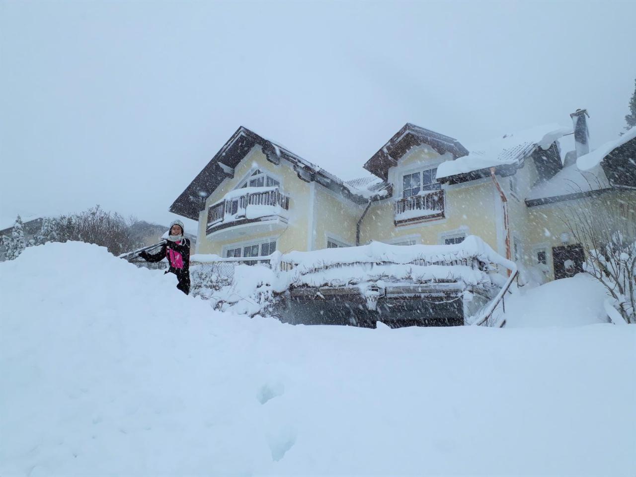 Ferienwohnung Nahe Fuschlsee, Hof Bei Salzburg Exteriör bild